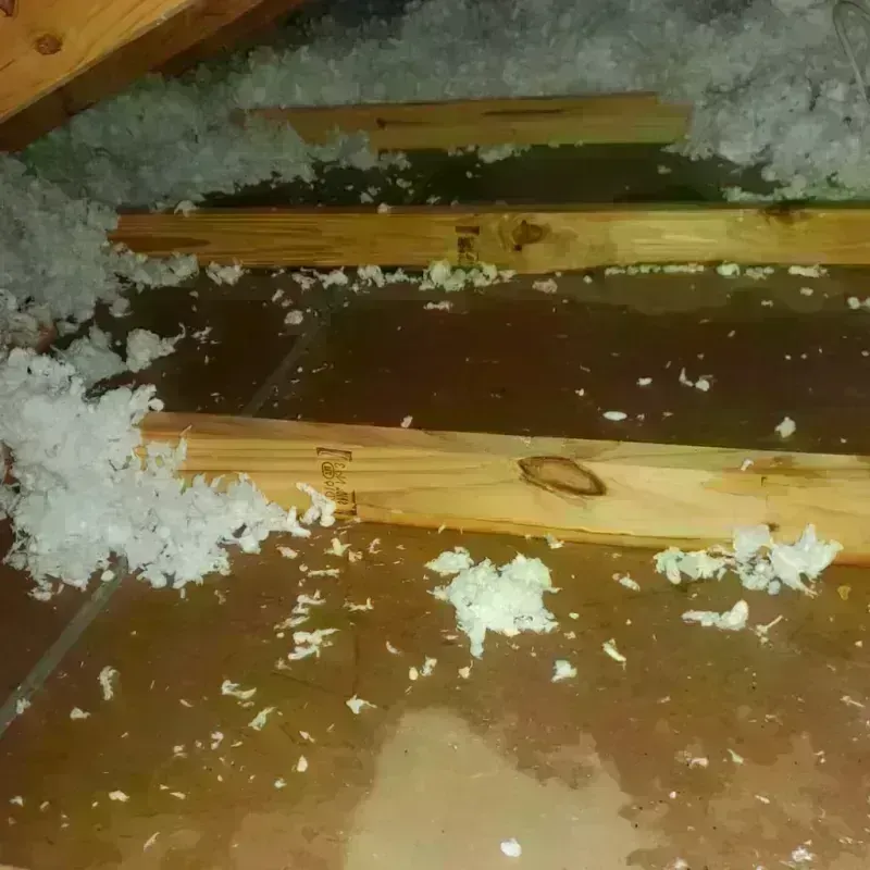 Attic Water Damage in Seward, AK