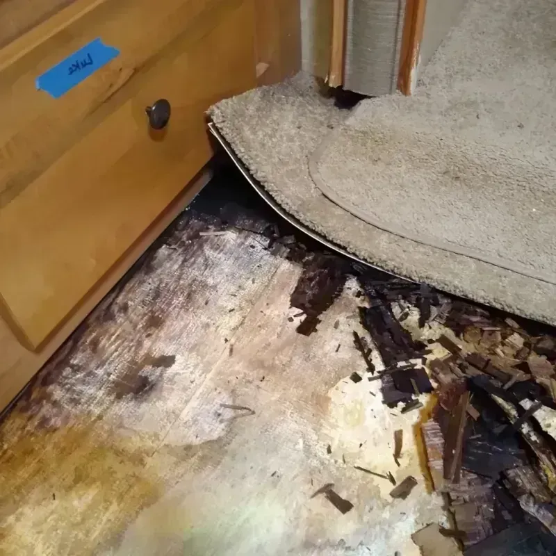 Wood Floor Water Damage in Seward, AK